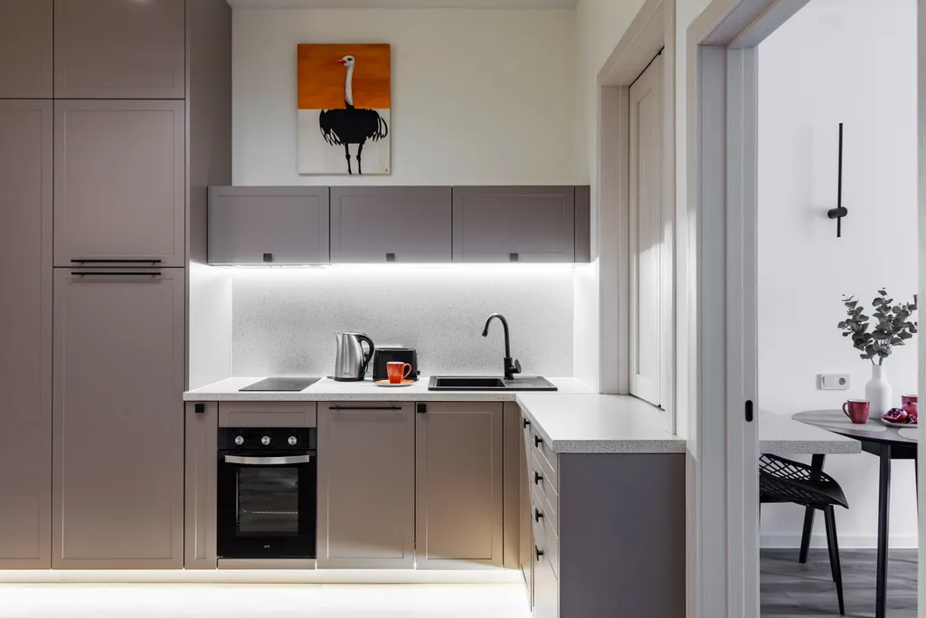 Бограда PREMIUM 2х комнатная квартира