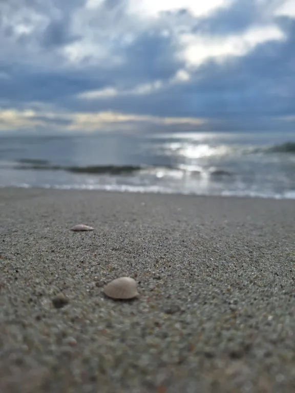 Светлая студия