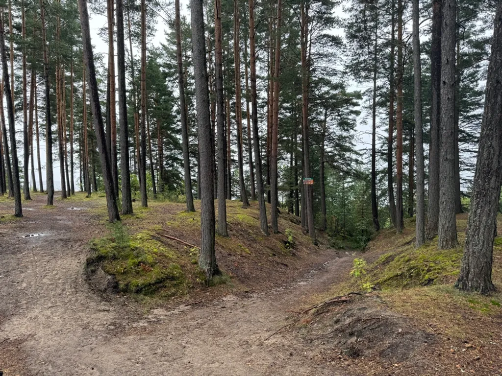 Дом в Громово на берегу озера Суходольское