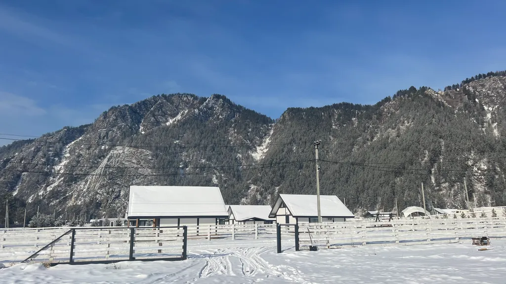 Альпис резидент