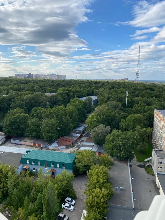 Просторные апартаменты с видом на лес