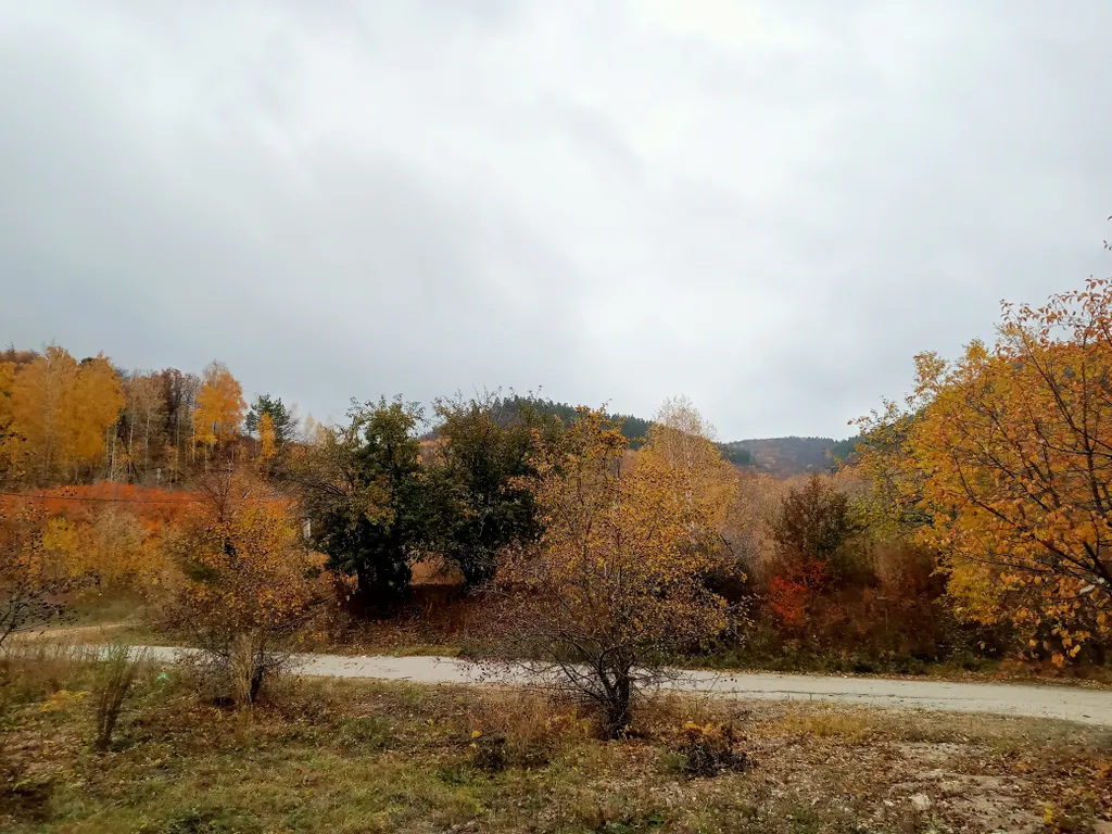 Домик в подгорье Жигулей