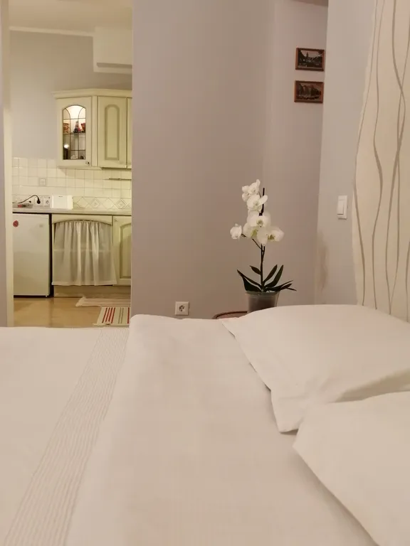 Квартира В гостях как дома — Зеленоградск