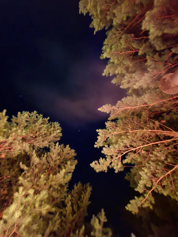 Уютный гестхаус Горки посреди леса и в полном уединении, баня и чан