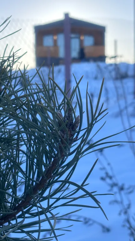 Уютный новый дом с сауной включена в стоимость и видом на озеро и лес