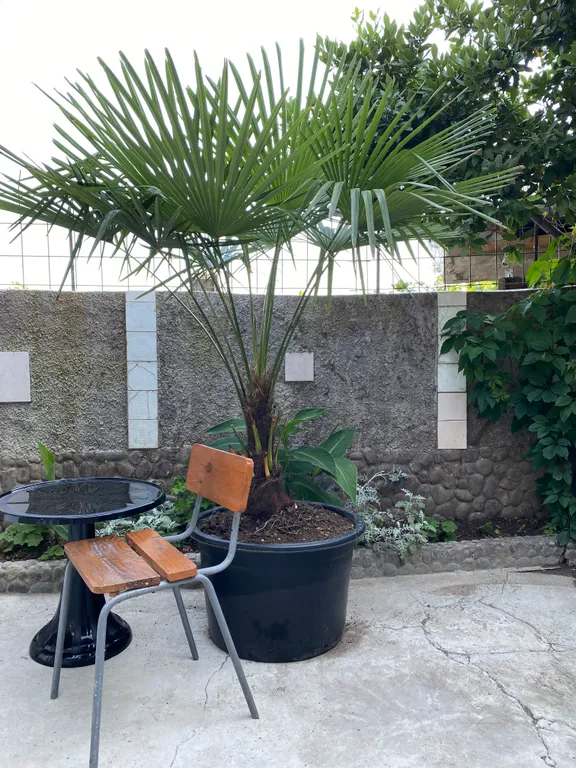 Двухкомнатный домик с новым ремонтом и зоной мангала