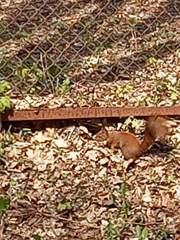 Квартира для отдыха