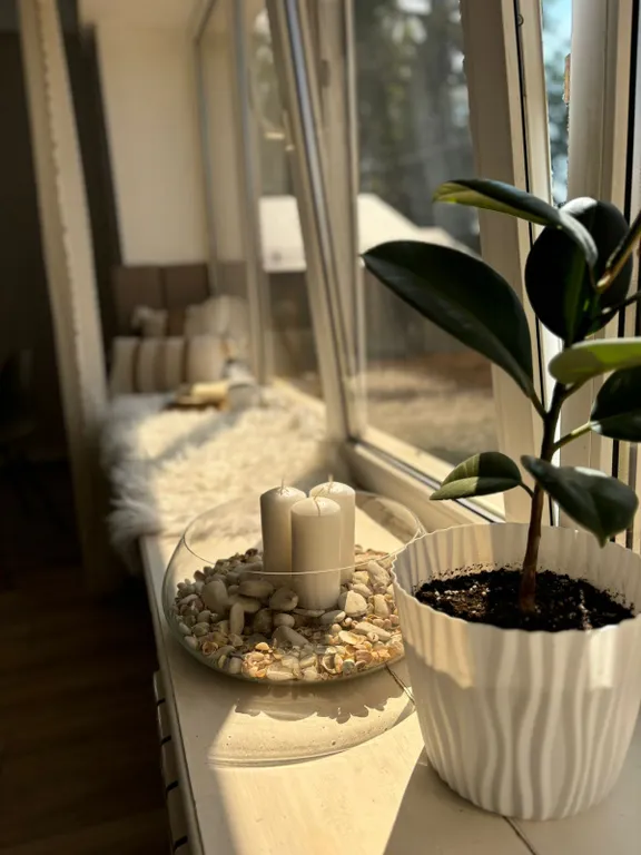 Большая студия в 5 минутах от моря