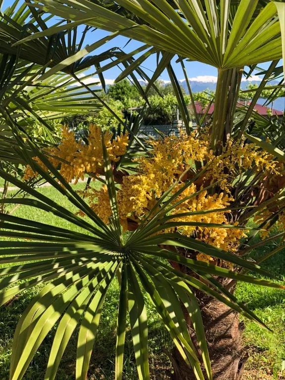 Вилла с бассейном