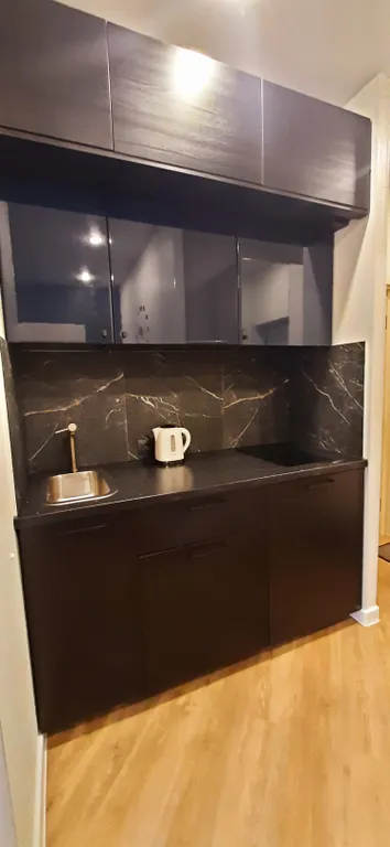 Двухкомнатная квартира с видом на парк Южные культуры