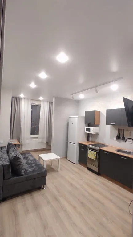 Loft-Корней, Нейро, Кристалл квартира