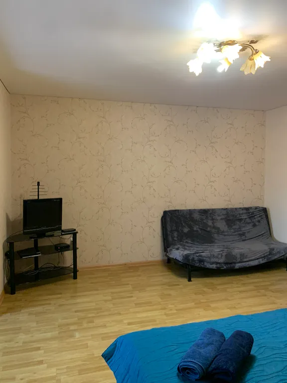 Просторная квартира в центре города