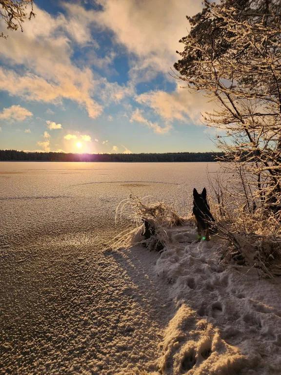 Дом в лесу Таттипортти