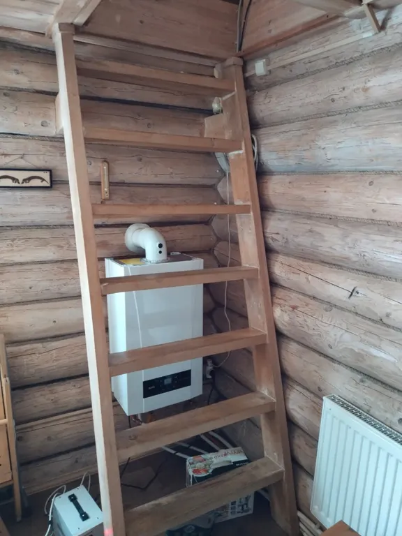 Коттедж Уютный домик в лесу — Агалатово