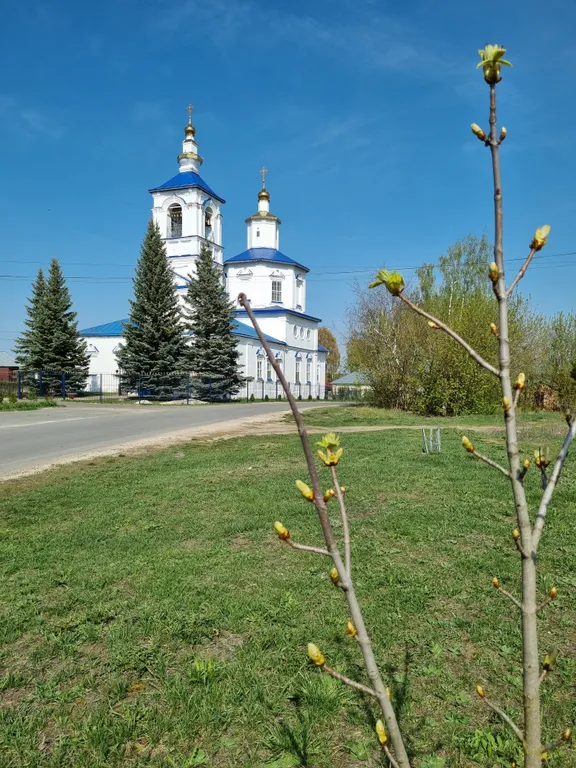 Деревянный дом в деревне дача фермера