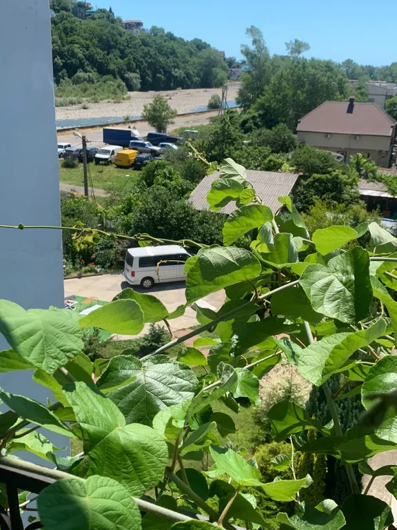 Квартира Комната — Лазаревское