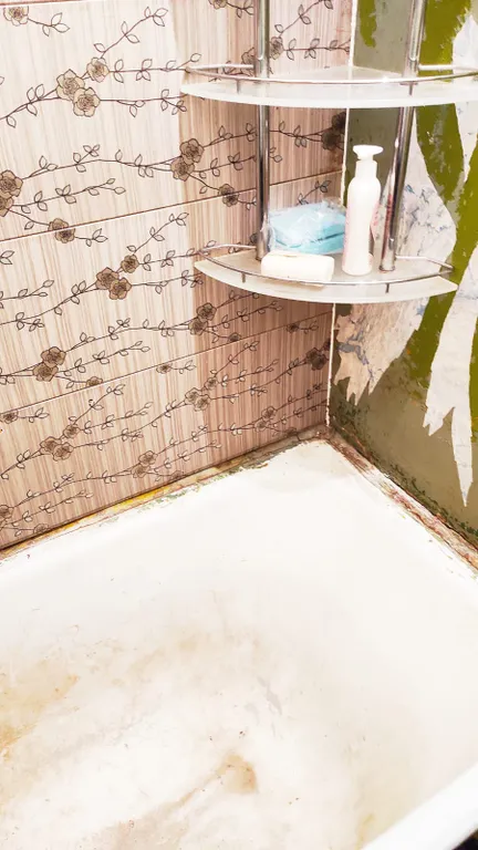 Квартира Квартира рядом с заказником — Луга