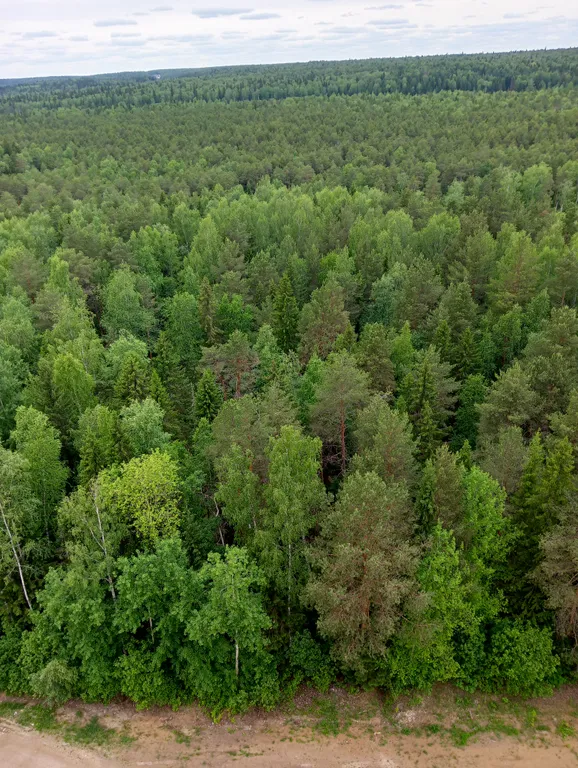Стильная студия в новом доме комфорт класса ЖК Лес