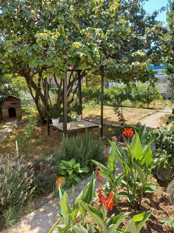 Дом старого художника в Севастополе