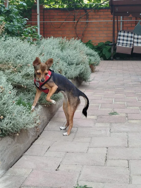 Квартира Удобная комната вблизи моря — Ейск