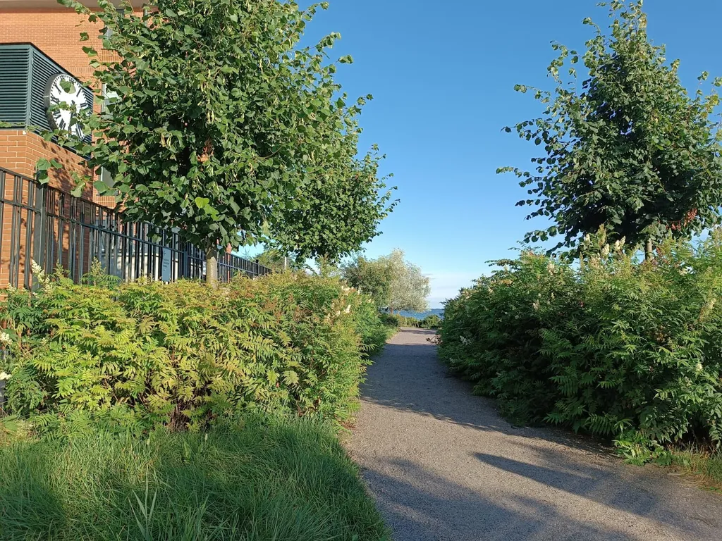 Квартира Квартира Уютная студия на берегу залива — Кронштадт