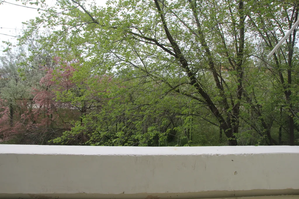 Семейный Апартамент Viktoria