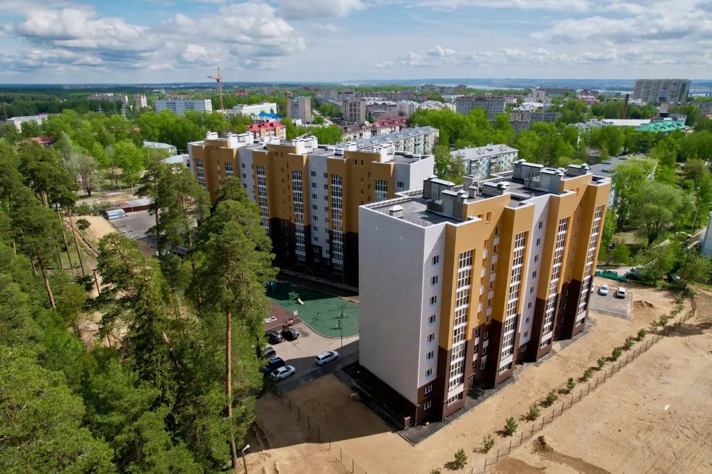 Туманный лес студия