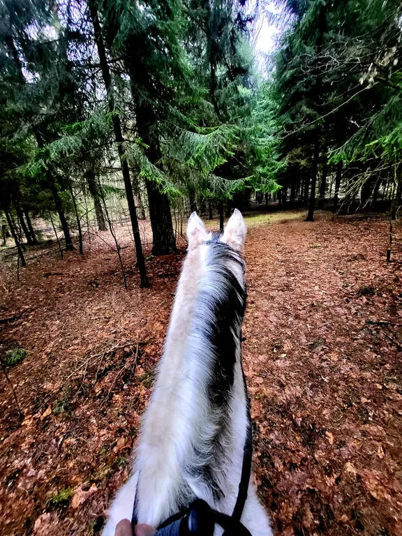 Уютный домик на семейной экоферме