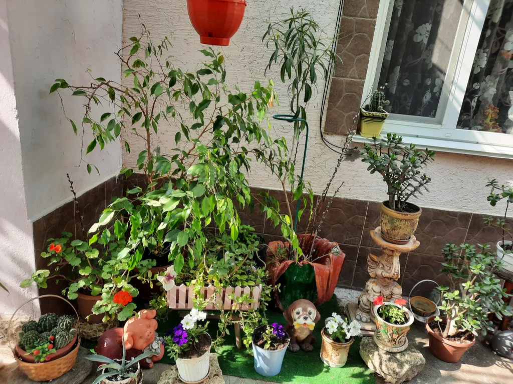 Счастливый дворик