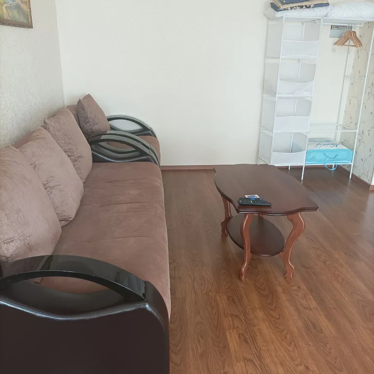 Большая и просторная 1-комнатная квартира