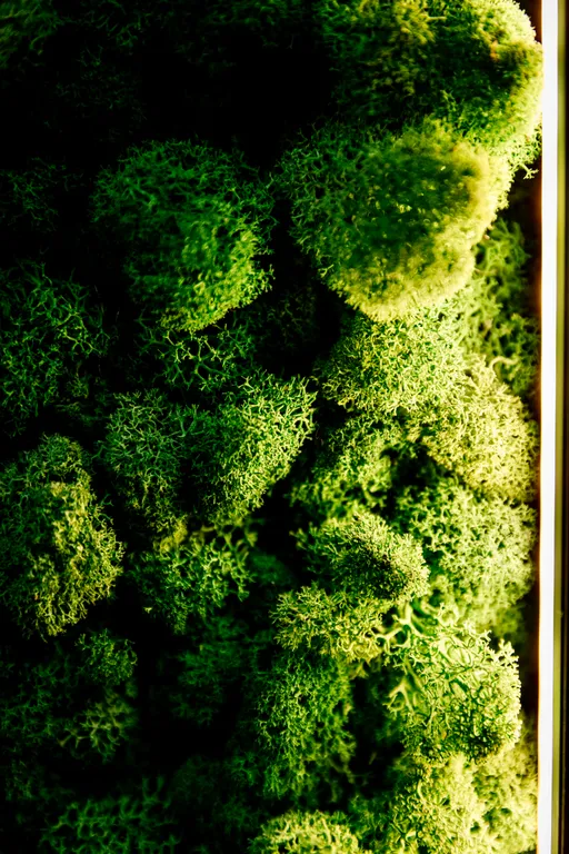 Квартира Apartment Mr.Yagel — Кострома