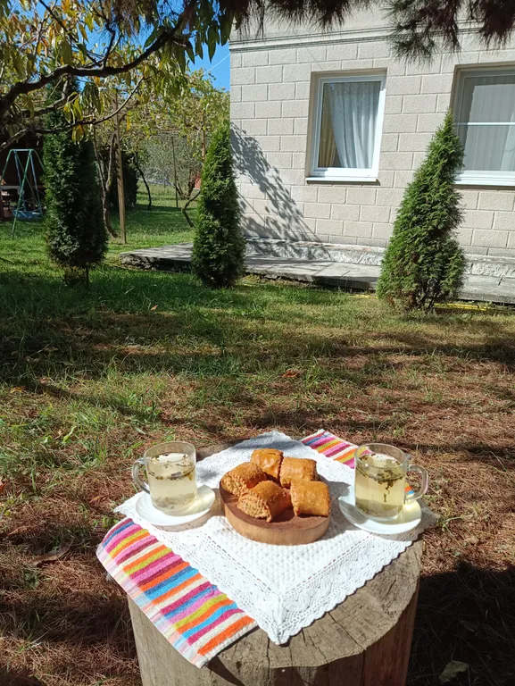 Вилла с парком под ключ