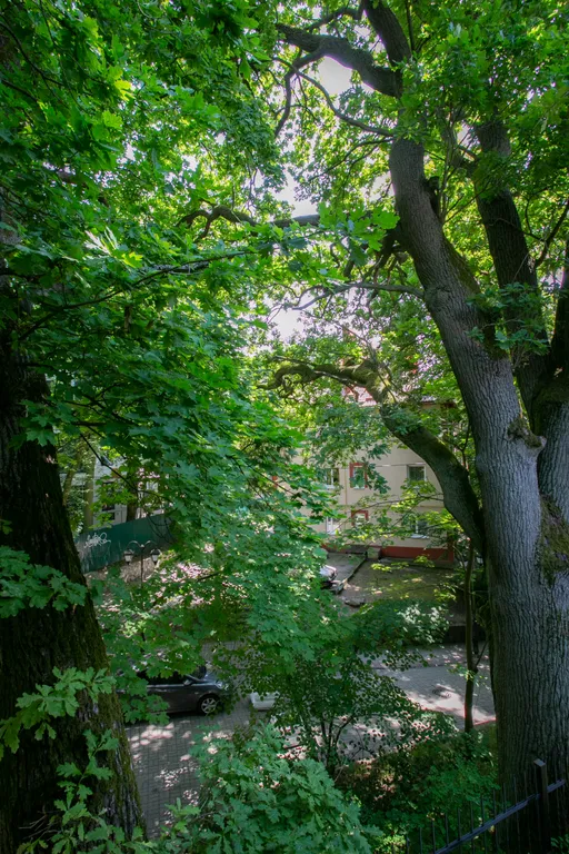 Квартира Квартира Самый центр — Светлогорск