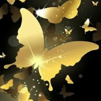 Ap'hotel butterfly
