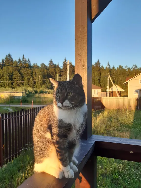 Коттедж Коттедж Дача в Кокосах — Разметелево