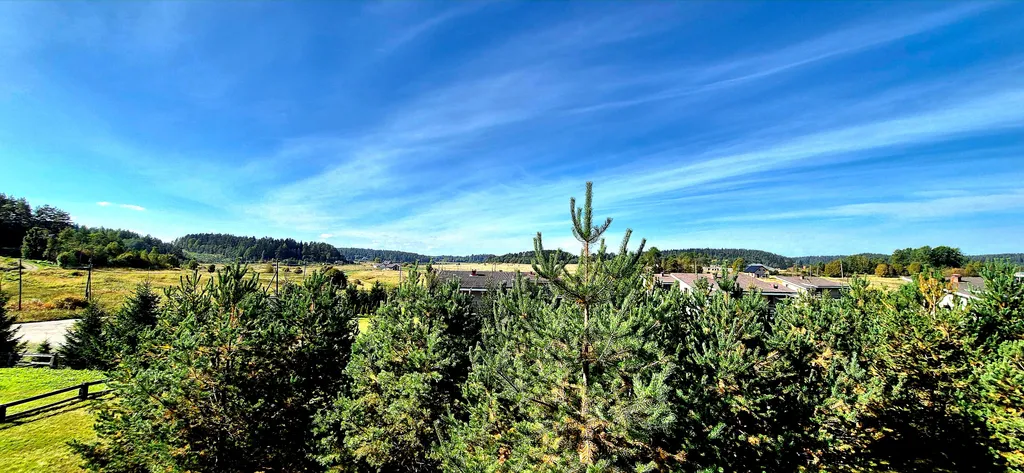 Коттеджный комплекс Куркиёки  у леса Коттедж 1