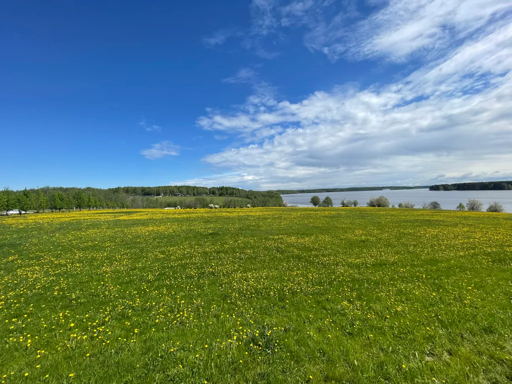 Дом с баней на берегу реки Волга с большой территорией