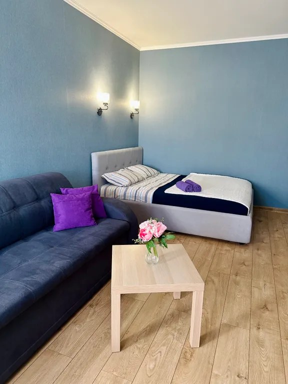 Квартира Апартаменты с кондиционером Незнакомка — Светлогорск