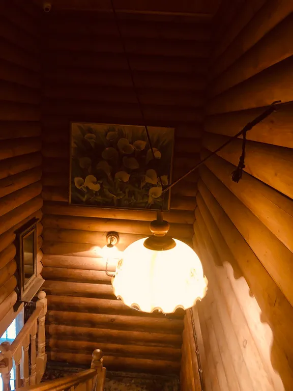 Изба (дом) из экологически чистого бревна под камышовой крышей в лесу