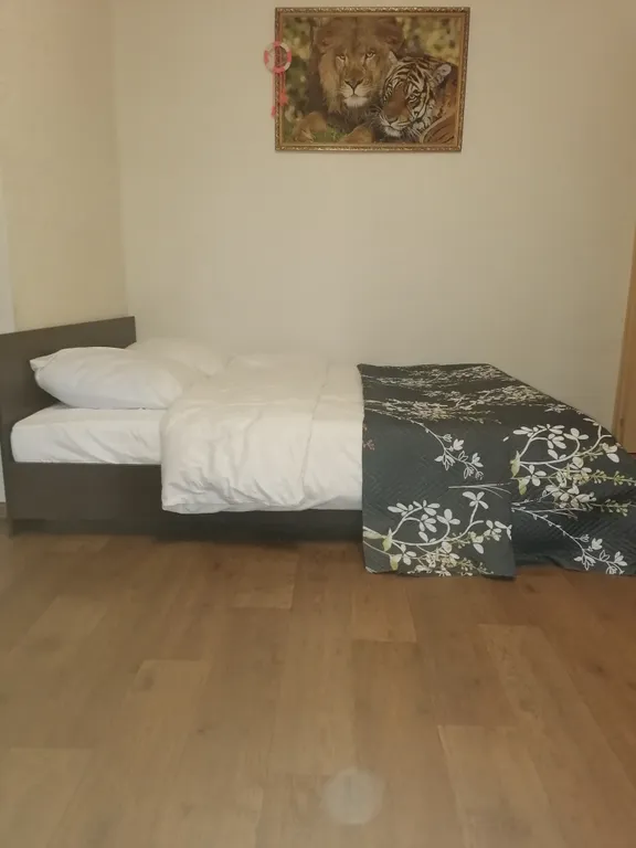 Квартира Огонек в пути — аренда посуточно в Кострома