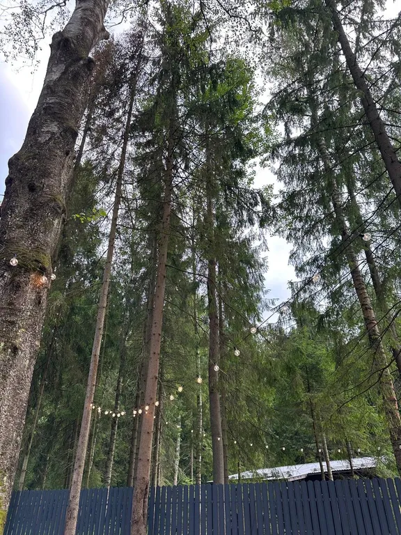 Мини дом Тайный лес