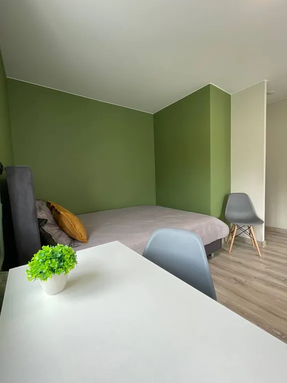 Уютная и современная 1-комн квартира в самом центре Перми