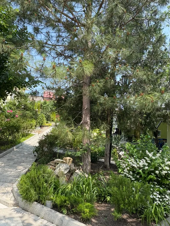 Квартира Уютные апартаменты в Широкой балке — Широкая Балка