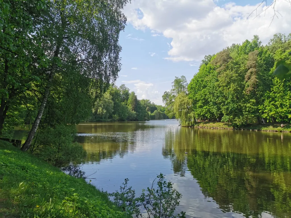 Квартира Светлая уютная квартира в двух шагах от парка-заповедника Царицыно — Москва