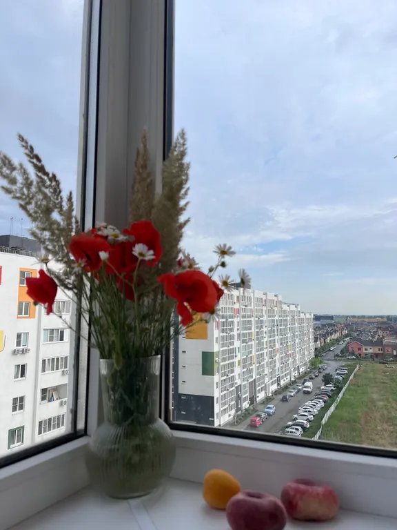 Квартира Уютная, новая и атмосферная квартира - дыхание Венеции — Краснодар