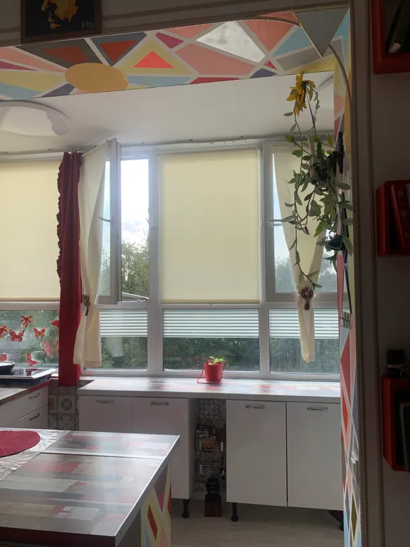 Студия мир авангарда