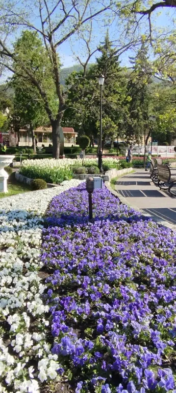 Уютная квартира в цветнике