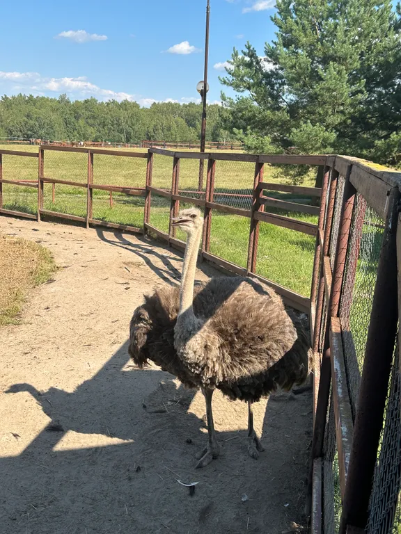 Дубльдом с видом на лес и городским комфортом в Капитан клаб