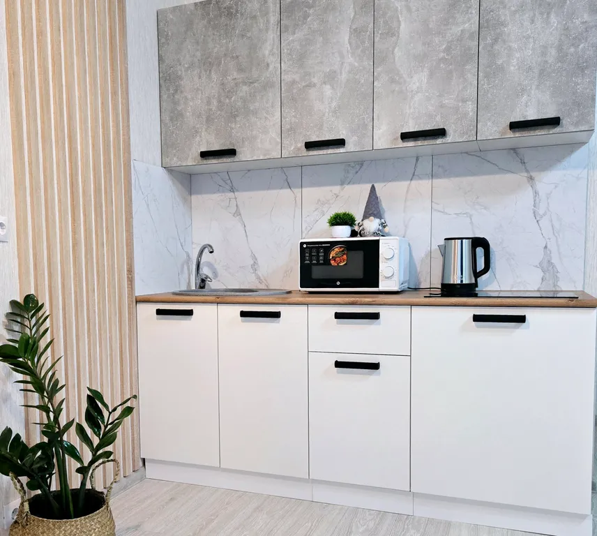 Квартира-студия с гардеробной