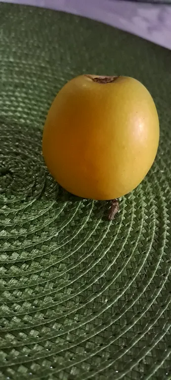 Коттедж под ключ у Черного моря